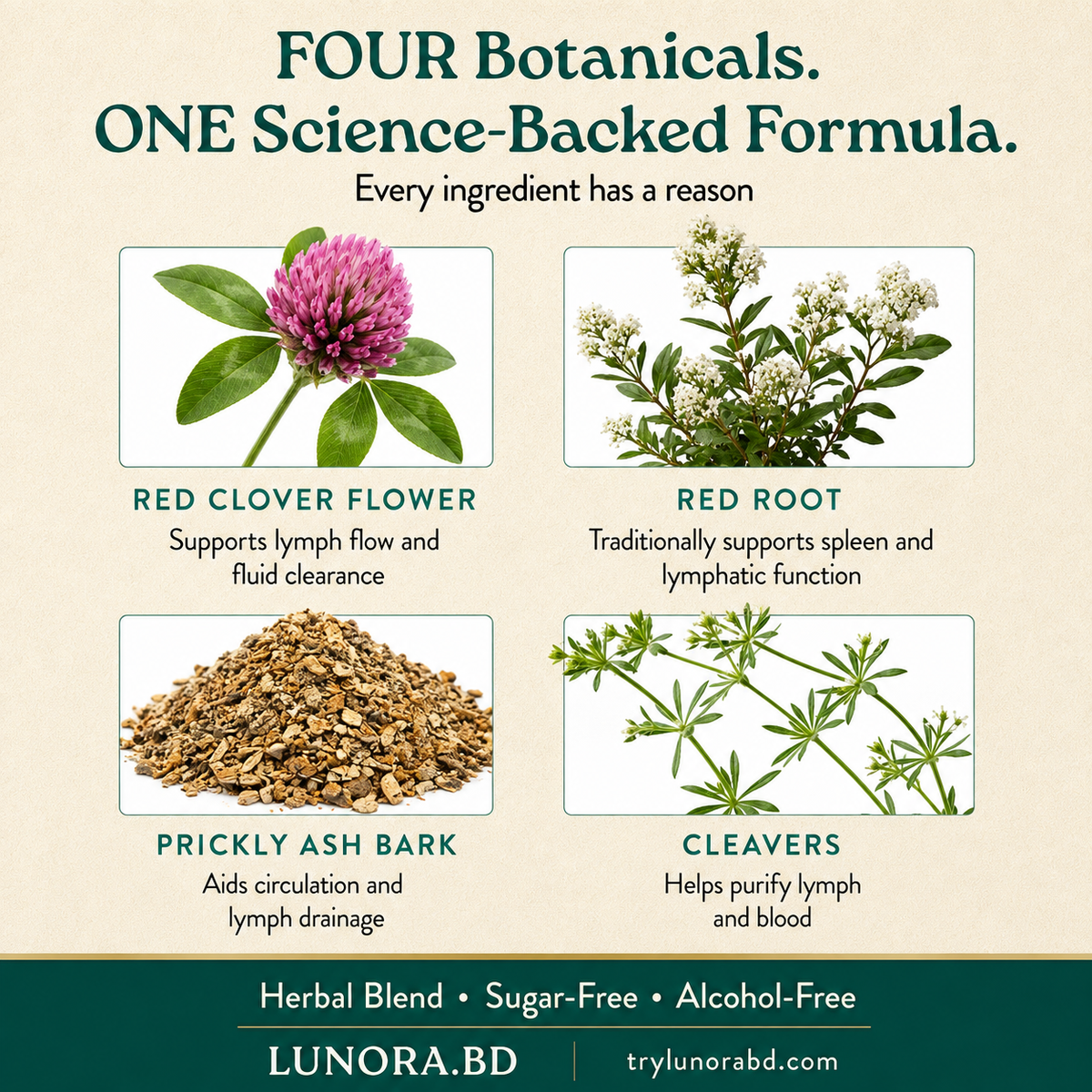 Nature's Sunshine Lymphatic Drainage
